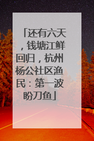 还有六天，钱塘江鲜回归，杭州杨公社区渔民：第一波盼刀鱼