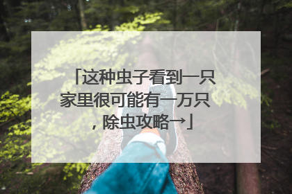 这种虫子看到一只家里很可能有一万只，除虫攻略→
