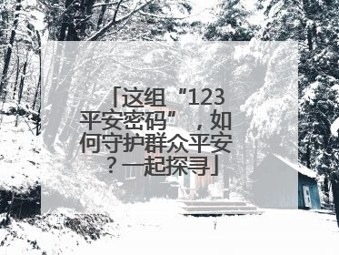 这组“123平安密码”，如何守护群众平安？一起探寻