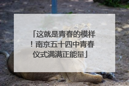 这就是青春的模样！南京五十四中青春仪式满满正能量