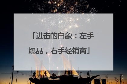 进击的白象：左手爆品，右手经销商
