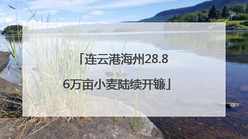 连云港海州28.86万亩小麦陆续开镰