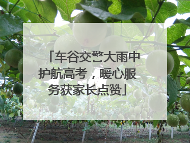 车谷交警大雨中护航高考，暖心服务获家长点赞