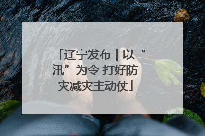 辽宁发布｜以“汛”为令 打好防灾减灾主动仗
