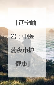 辽宁岫岩：中医药夜市护健康