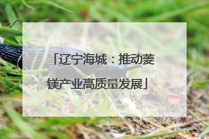 辽宁海城：推动菱镁产业高质量发展