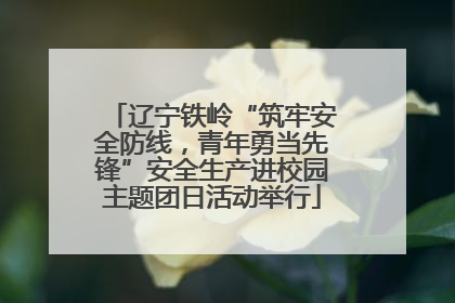 辽宁铁岭“筑牢安全防线，青年勇当先锋”安全生产进校园主题团日活动举行