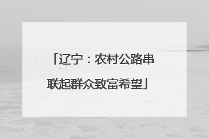 辽宁：农村公路串联起群众致富希望