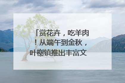 赏花卉，吃羊肉！从端午到金秋，叶榭镇推出丰富文旅活动邀您爽玩