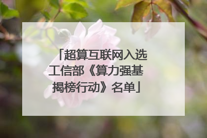 超算互联网入选工信部《算力强基揭榜行动》名单