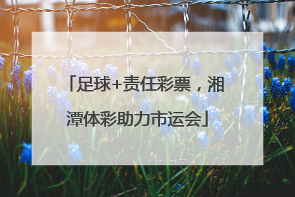 足球+责任彩票，湘潭体彩助力市运会