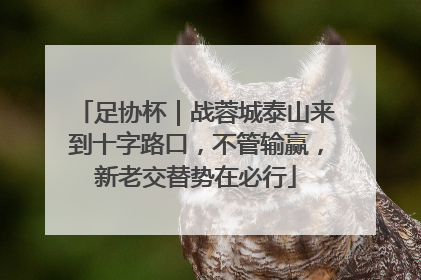 足协杯｜战蓉城泰山来到十字路口，不管输赢，新老交替势在必行