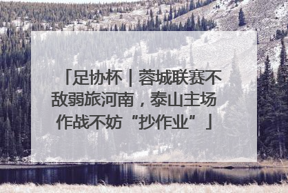 足协杯｜蓉城联赛不敌弱旅河南，泰山主场作战不妨“抄作业”