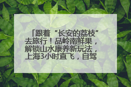 跟着“长安的荔枝”去旅行！品岭南鲜果，解锁山水康养新玩法，上海3小时直飞，自驾高速费优惠