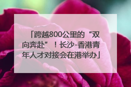跨越800公里的“双向奔赴”！长沙-香港青年人才对接会在港举办