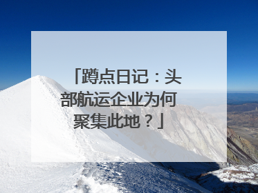 蹲点日记：头部航运企业为何聚集此地？