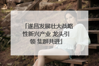 遂昌发展壮大战略性新兴产业 龙头引领 集群共进