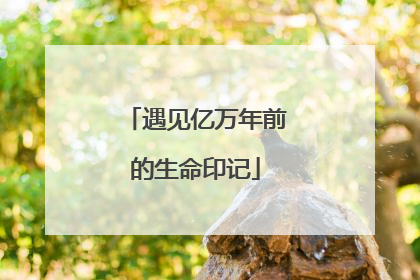 遇见亿万年前的生命印记