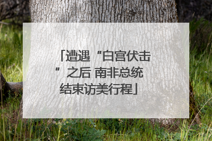 遭遇“白宫伏击”之后 南非总统结束访美行程