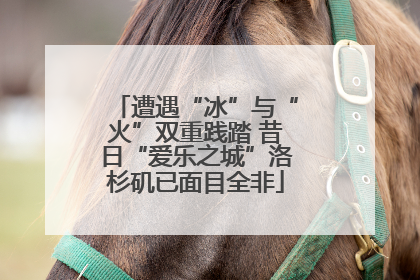 遭遇“冰”与“火”双重践踏 昔日“爱乐之城”洛杉矶已面目全非
