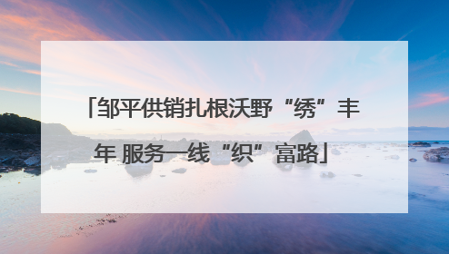 邹平供销扎根沃野“绣”丰年 服务一线“织”富路