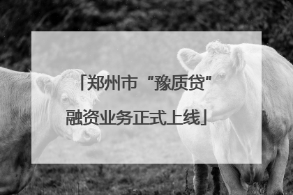 郑州市“豫质贷”融资业务正式上线