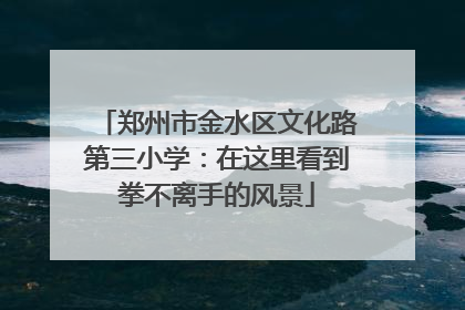 郑州市金水区文化路第三小学：在这里看到拳不离手的风景