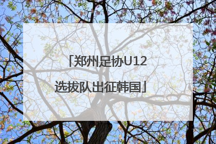 郑州足协U12选拔队出征韩国