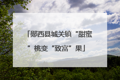 郧西县城关镇“甜蜜”桃变“致富”果