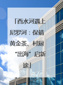 酉水河遇上尼罗河：保靖黄金茶、村厨“出海”启新途