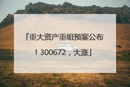 重大资产重组预案公布！300672，大涨