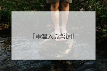 重温入党誓词