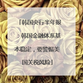 韩国央行半年报：韩国金融体系基本稳定，要警惕美国关税风险