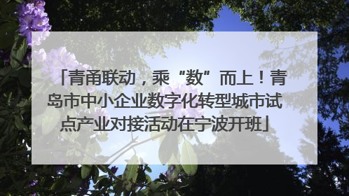 青甬联动，乘“数”而上！青岛市中小企业数字化转型城市试点产业对接活动在宁波开班
