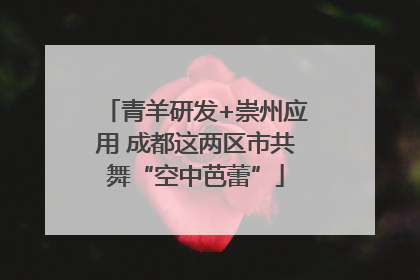 青羊研发+崇州应用 成都这两区市共舞“空中芭蕾”