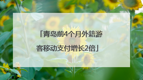 青岛前4个月外籍游客移动支付增长2倍