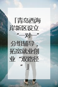 青岛西海岸新区设立“一对一”分组辅导，拓宽就业创业“双路径”