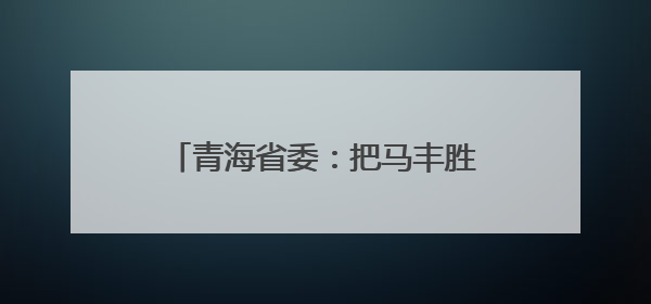 青海省委：把马丰胜案作为典型案例，以身边事教育身边人