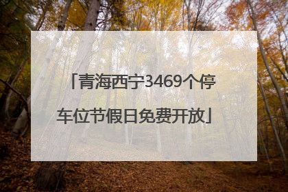 青海西宁3469个停车位节假日免费开放