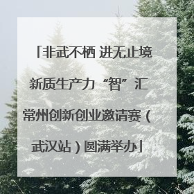 非武不栖 进无止境 新质生产力“智”汇常州创新创业邀请赛（武汉站）圆满举办