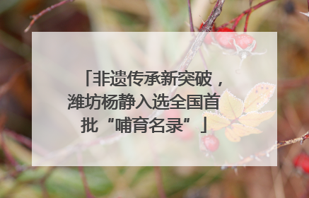 非遗传承新突破，潍坊杨静入选全国首批“哺育名录”