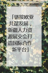 链接欧亚共谋发展，新疆人力资源展交会打造国际合作新平台