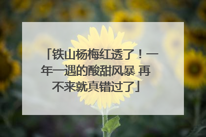 铁山杨梅红透了！一年一遇的酸甜风暴 再不来就真错过了