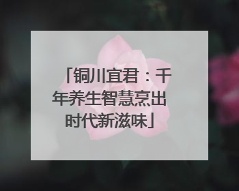 铜川宜君：千年养生智慧烹出时代新滋味