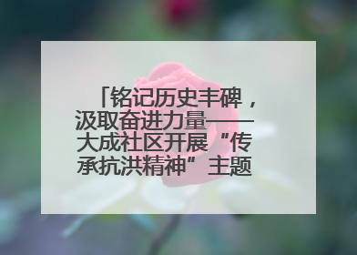 铭记历史丰碑,汲取奋进力量——大成社区开展“传承抗洪精神”主题党日活动