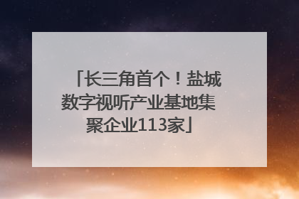 长三角首个！盐城数字视听产业基地集聚企业113家