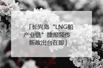 长兴岛“LNG船产业链”捷报频传 新政出台在即