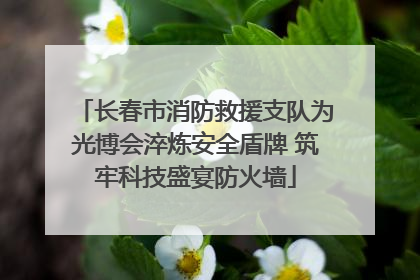 长春市消防救援支队为光博会淬炼安全盾牌 筑牢科技盛宴防火墙