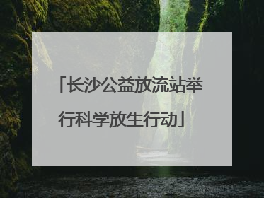 长沙公益放流站举行科学放生行动
