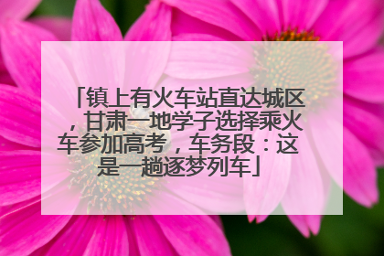 镇上有火车站直达城区，甘肃一地学子选择乘火车参加高考，车务段：这是一趟逐梦列车